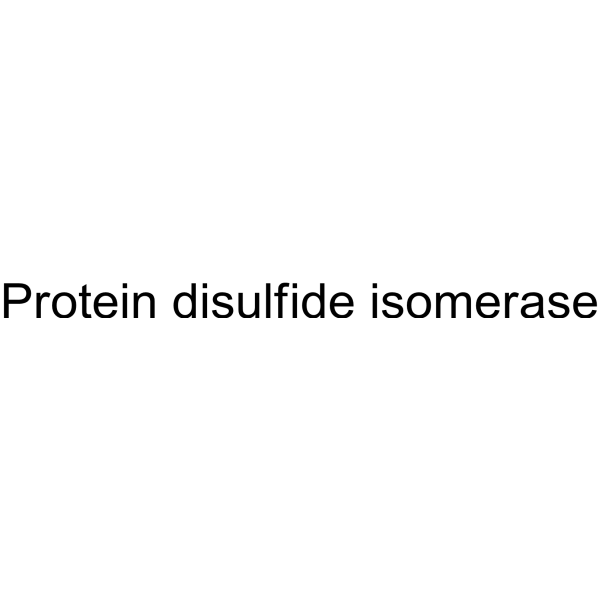 Protein disulfide isomerase Structure