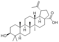 3-Epibetulinic acid Structure
