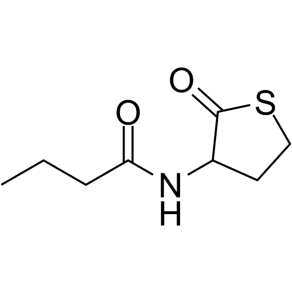 N-Butyryl-DL-homocysteine thiolactone Structure