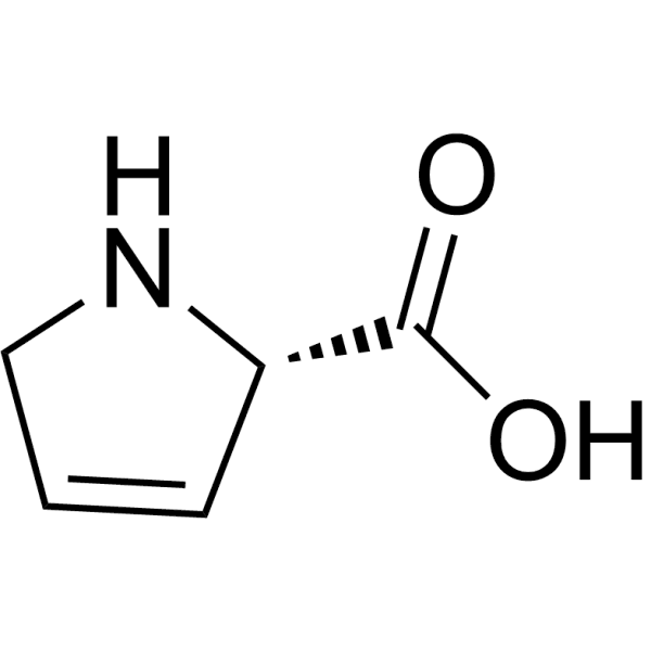 3, 4-Dehydro-L-proline Structure