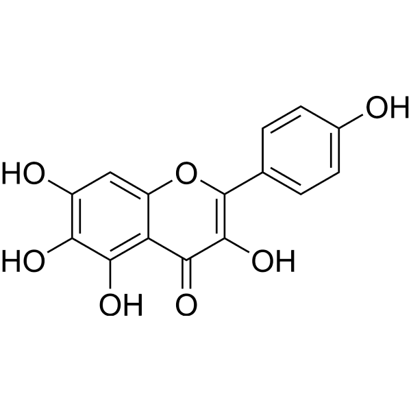 6-Hydroxykaempferol Structure