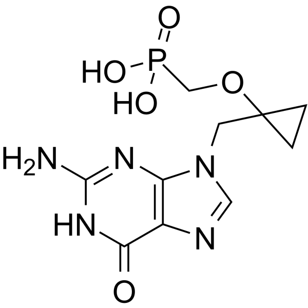 LB80317  Structure