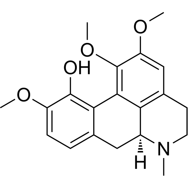 Isocorydine Structure