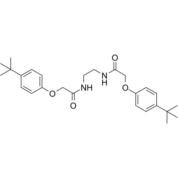 NIC3  Structure