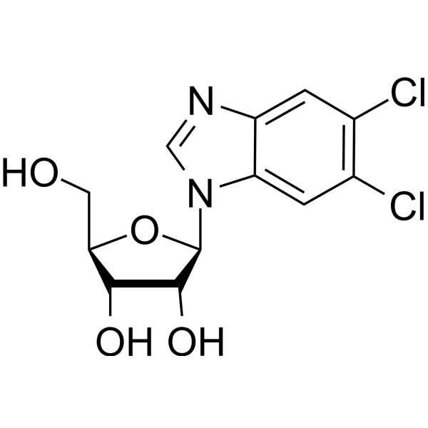 5,6-Dichlorobenzimidazole riboside Structure