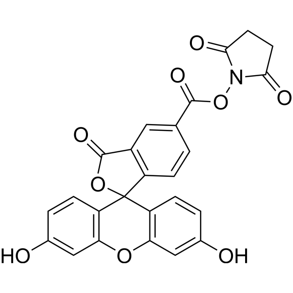 5-FAM SE Structure