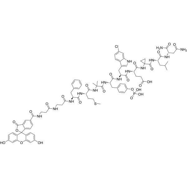 5-FAM-PMDM6 Structure