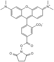 5-TAMRA SE Structure