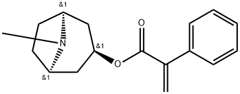 Apoatropine Structure