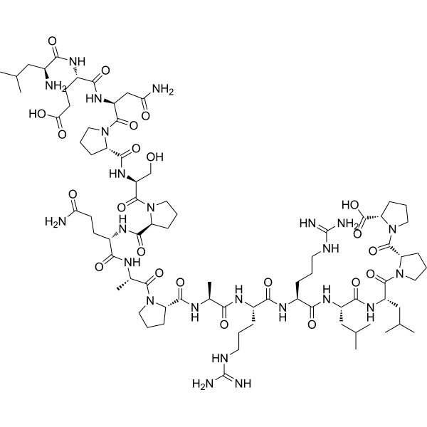 BigLEN(mouse) Structure