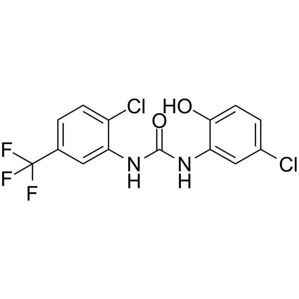 NS 1738 Structure