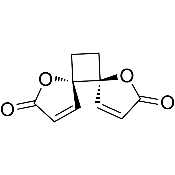 Anemonin Structure