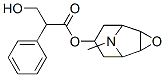 Scopolamine Structure