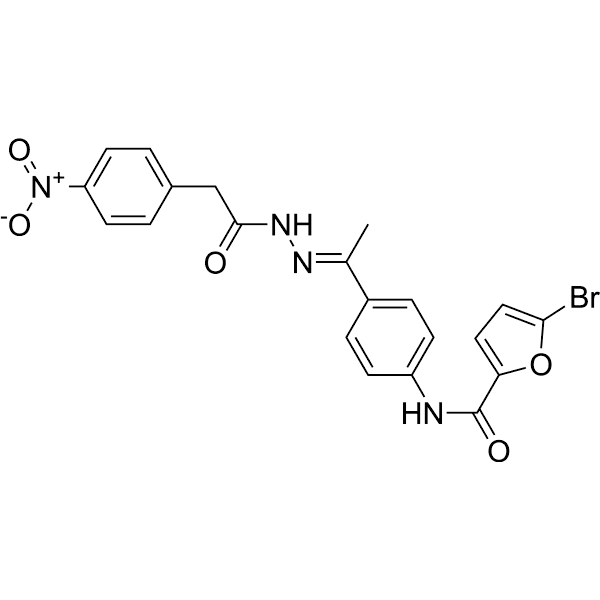 MMP13-IN-4 Structure