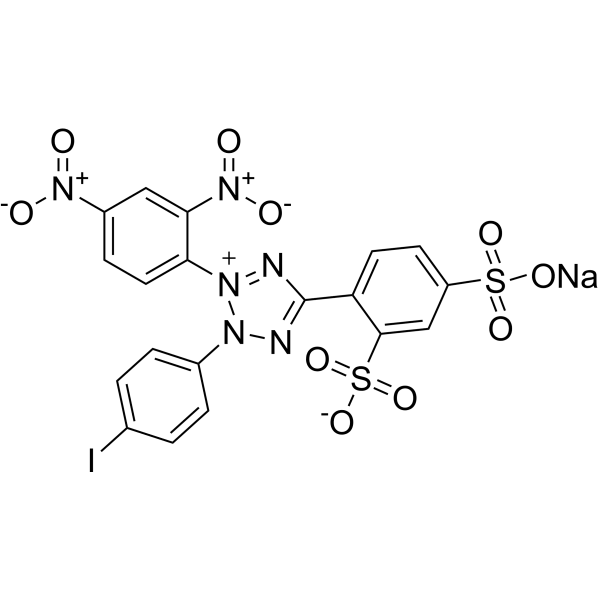 WST-3  Structure