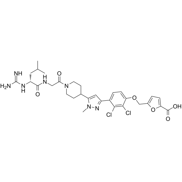 SP4206  Structure