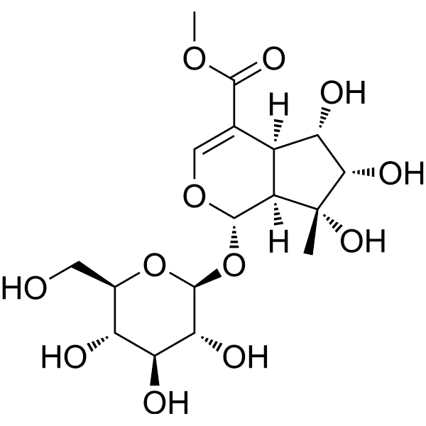 Lamalbid Structure