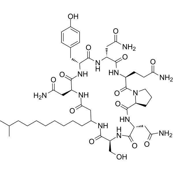 Iturin A Structure