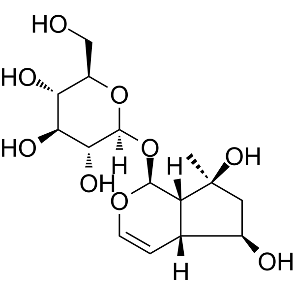 Ajugol Structure