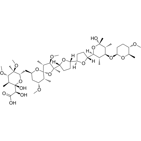 K-41 Structure