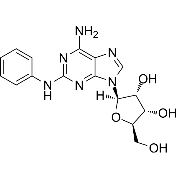 CV1808 Structure