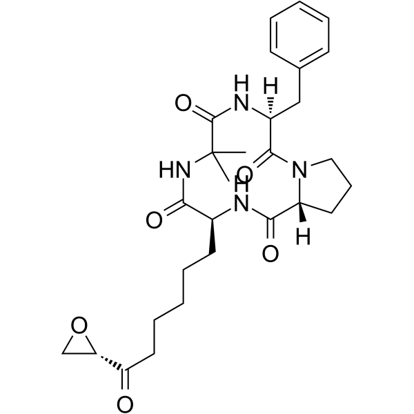 Chlamydocin Structure