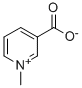 Trigonelline  Structure