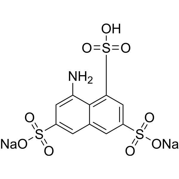 ANTS Structure