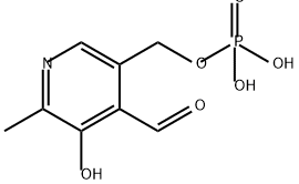 Pyridoxal phosphate Structure