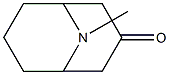 Pseudopelletierine Structure