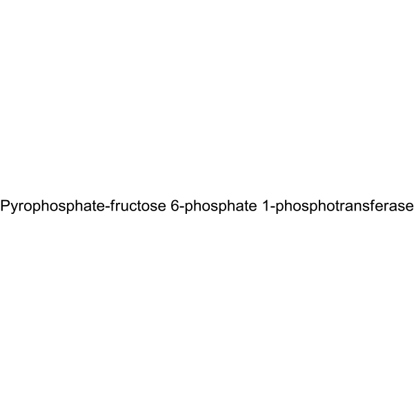 Pyrophosphate-fructose 6-phosphate 1-phosphotransferase Structure