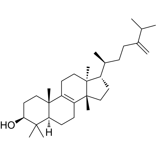 Euphorbol Structure