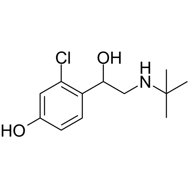 HOKU-81 Structure