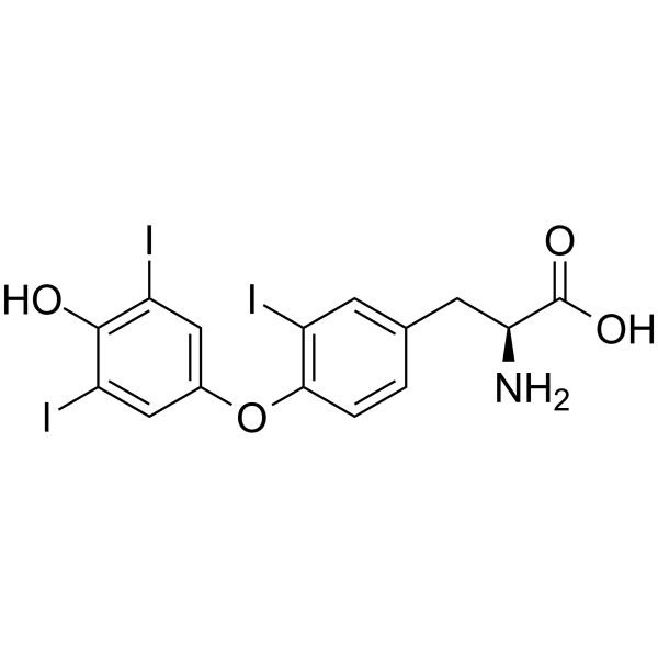 Reverse T3 Structure