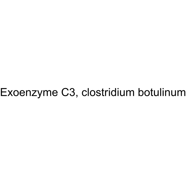 Exoenzyme C3, clostridium botulinum Structure
