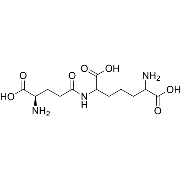 iE-DAP Structure