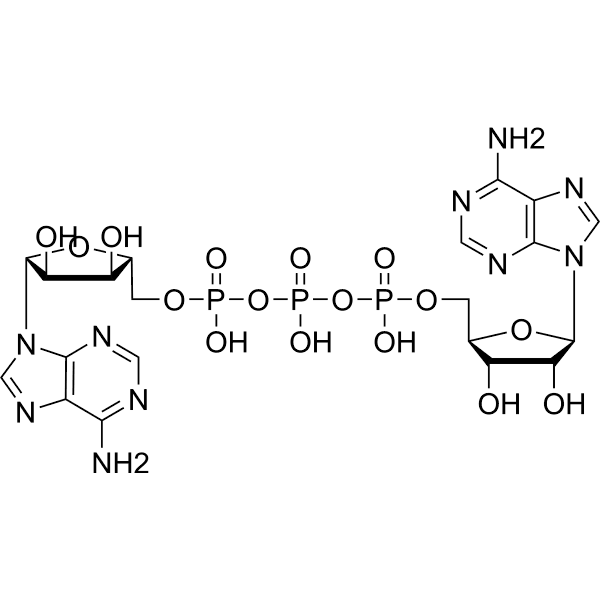 Ap3A  Structure