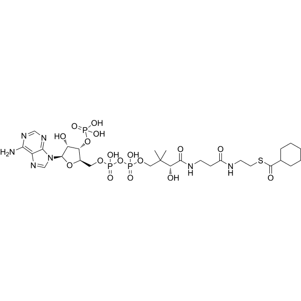 Cyclohexanoyl coenzyme A Structure