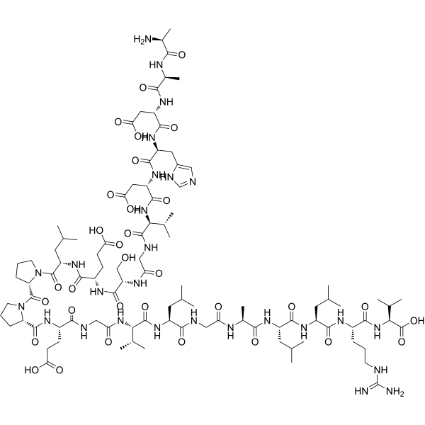 PEN (human) Structure
