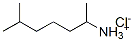 2-Amino-6-methylheptane hydrochloride Structure