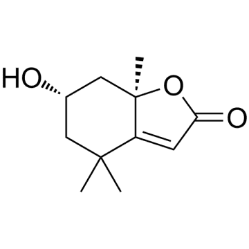 Loliolid Structure