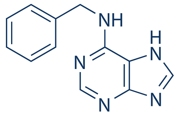 6-Benzylaminopurine Structure