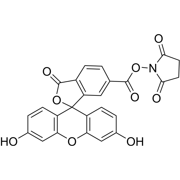 6-FAM SE Structure