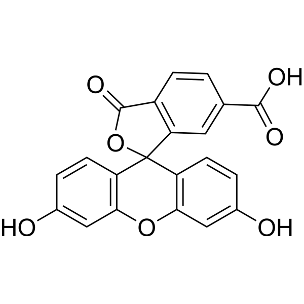 6-FAM Structure