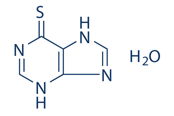 6-Mercaptopurine (6-MP) Monohydrate Structure