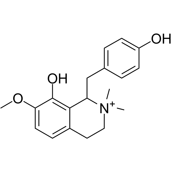 Oblongine Structure