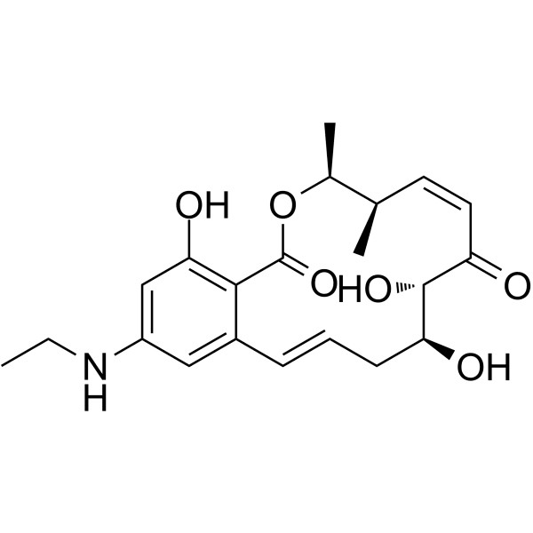 E6201 Structure