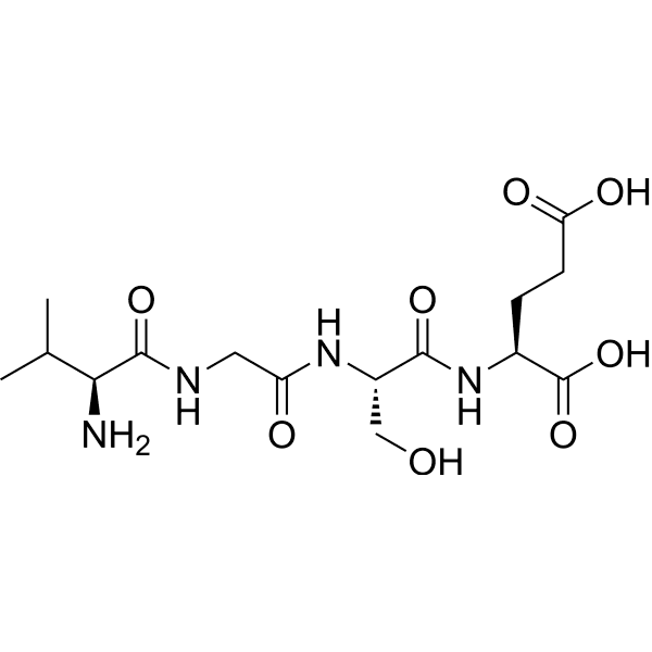 Val-Gly-Ser-Glu Structure