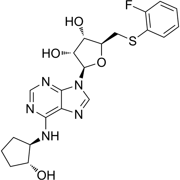 GS-9667 Structure