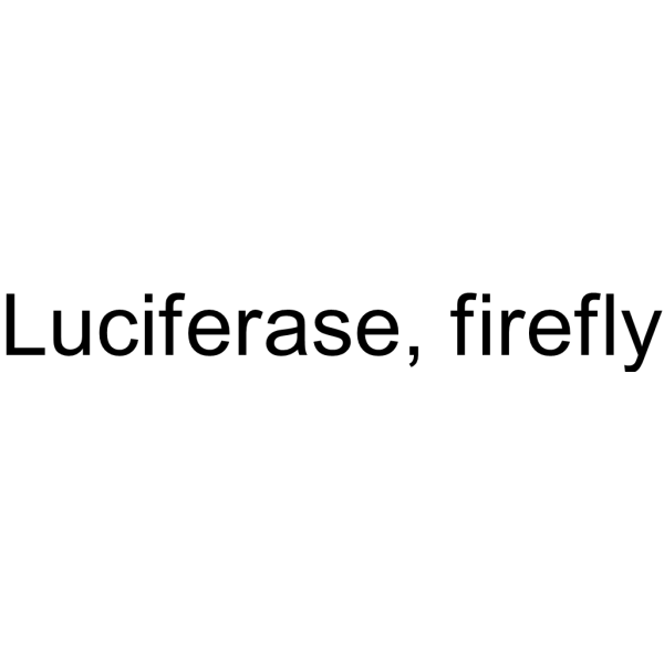 Luciferase, firefly Structure